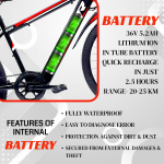 Alter 26" 002S Model Electric Cycle with 36V 250W BLDC HUB Motor | LI-ION BATTERY | 95% PREASSEMBLED with Charger