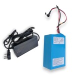 Alter 24v 250w PMDC Motor Kit With Lithium Ion Battery And Charger