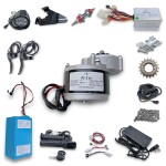 Alter 24v 250w PMDC Motor Kit With Lithium Ion Battery And Charger