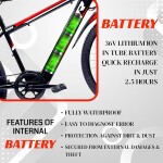 Alter 26" 002S Model Electric Cycle with 36V 250W BLDC HUB Motor | LI-ION BATTERY | 95% PREASSEMBLED with Charger