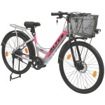 Alter 26" 002S-FLY Model Electric Cycle with 36V 250W BLDC HUB Motor | 95% PREASSEMBLED with Charger