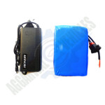 24v 250W cycle kit with li-ion battery