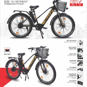 ALTER 003 CARGO MODEL ELECTRIC CYCLE